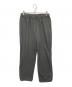 GOLDWIN（ゴールドウイン）の古着「パーテックスイクイリブリウムウインドパンツ」｜グレー