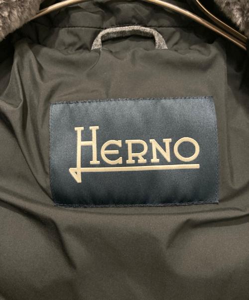 HERNO（ヘルノ）HERNO (ヘルノ) ビーバーファーダウンジャケット ブラック サイズ:50の古着・服飾アイテム