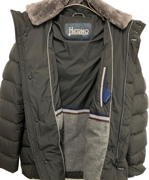 HERNO（ヘルノ）HERNO (ヘルノ) ビーバーファーダウンジャケット ブラック サイズ:50の古着・服飾アイテム
