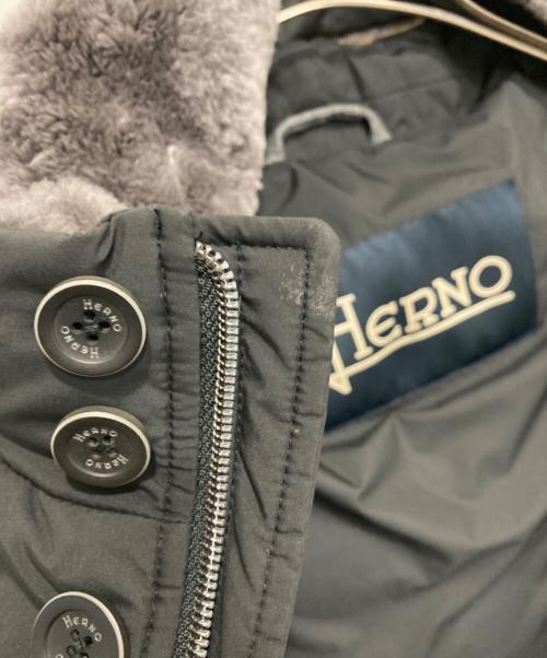HERNO（ヘルノ）HERNO (ヘルノ) ビーバーファーダウンジャケット ブラック サイズ:50の古着・服飾アイテム