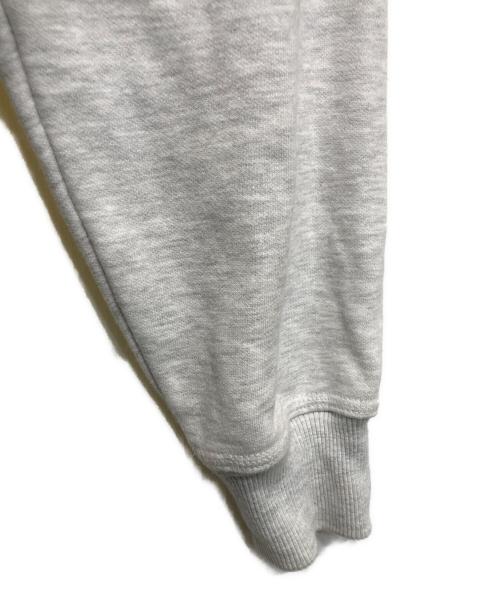 stussy（ステューシー）stussy (ステューシー) ブロックスポーツジップフード グレー サイズ:Lの古着・服飾アイテム