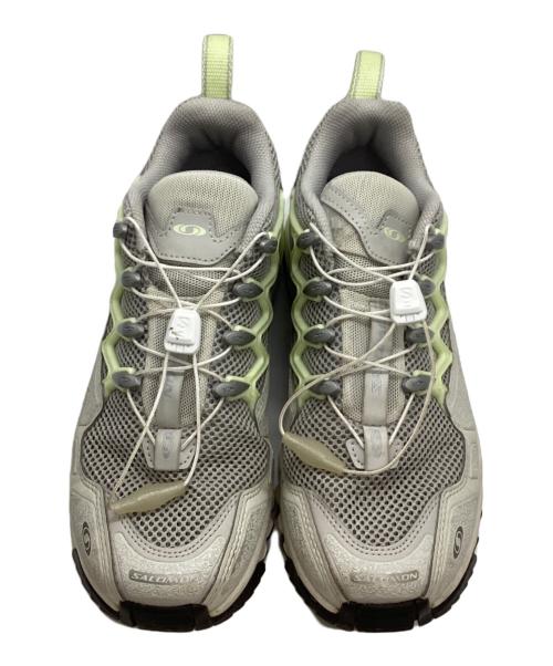 SALOMON（サロモン）SALOMON (サロモン) ローカットスニーカー グレー サイズ:US(W)8.5(M)7.5の古着・服飾アイテム