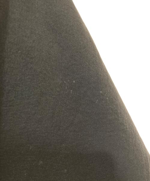 THE NORTH FACE（ザ ノース フェイス）THE NORTH FACE (ザ ノース フェイス) TNFビーフリージャケット ブラック サイズ:Lの古着・服飾アイテム