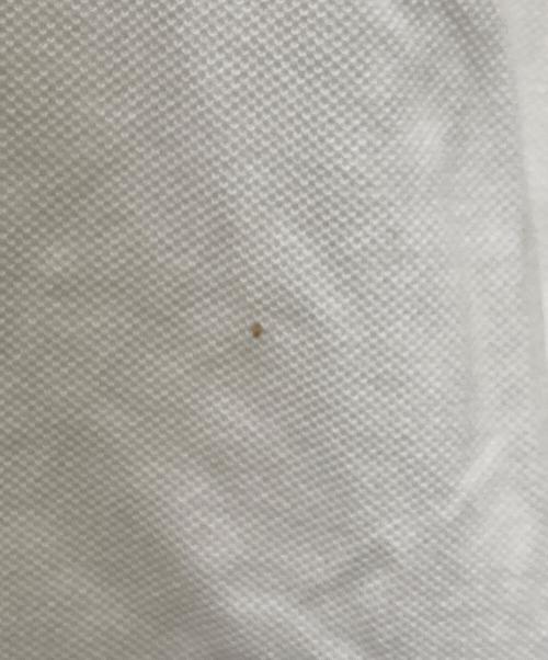 MONCLER（モンクレール）MONCLER (モンクレール) 襟ロゴ ワッペンポロシャツ ホワイト サイズ:Ⅿの古着・服飾アイテム