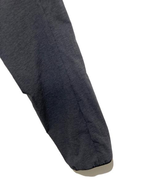 THE NORTH FACE（ザ ノース フェイス）THE NORTH FACE (ザ ノース フェイス) TNFR スワローテイルベントフーディ グレー サイズ:Ｌの古着・服飾アイテム