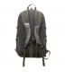 THE NORTH FACE (ザ ノース フェイス) ビッグショットバックパック グレー：8000円