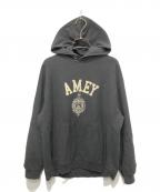 Americana×AP STUDIOアメリカーナ×エーピーストゥディオ）の古着「別注AMEY emblem HOODIE PULLOVER」｜グレー