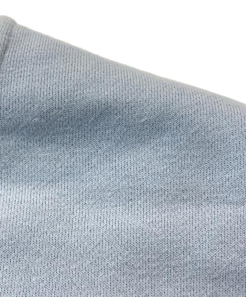 ARC'TERYX（アークテリクス）ARC'TERYX (アークテリクス) EMBLEM FLEECE CREW スカイブルー サイズ:Mの古着・服飾アイテム