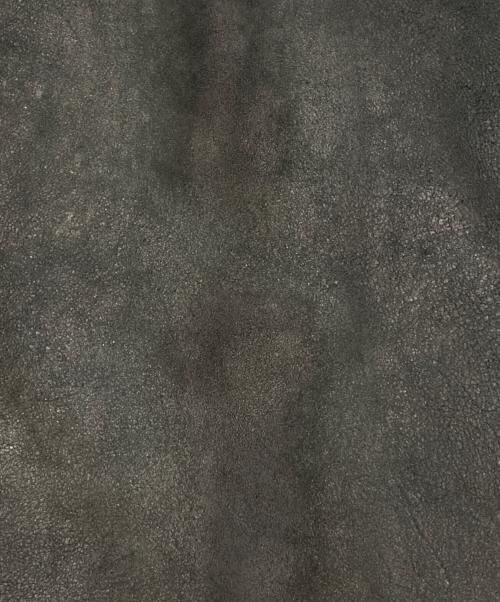 LVC（エルブイシー）LVC (エルブイシー) LEVI'S (リーバイス) 復刻 世界限定500着 アインシュタイン メンロ コサック JKT ブラック サイズ:Mの古着・服飾アイテム