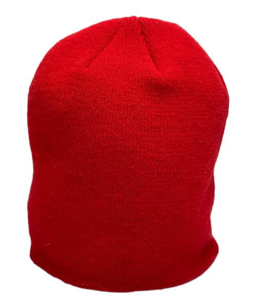 stussy（ステューシー）stussy (ステューシー) ニット帽 レッド サイズ:ONE SIZEの古着・服飾アイテム