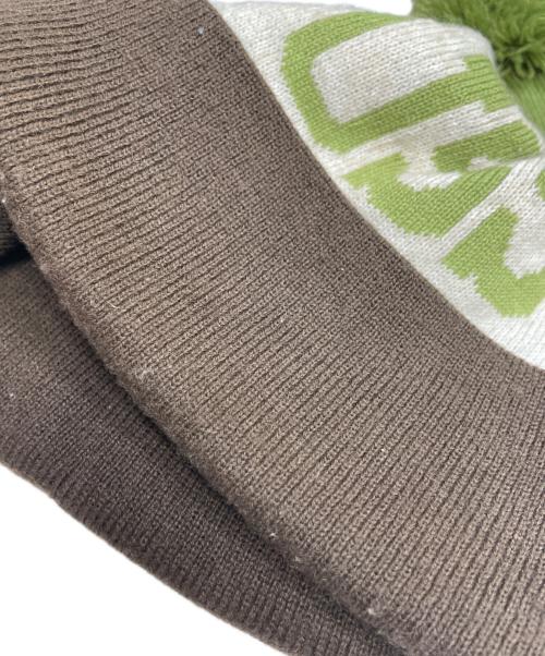 stussy（ステューシー）stussy (ステューシー) ニット帽 ブラウン×グリーンの古着・服飾アイテム