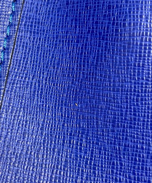 GIANNI CHIARINI（ジャンニ キアリーニ）GIANNI CHIARINI (ジャンニ キアリーニ) トートバッグ ブルーの古着・服飾アイテム