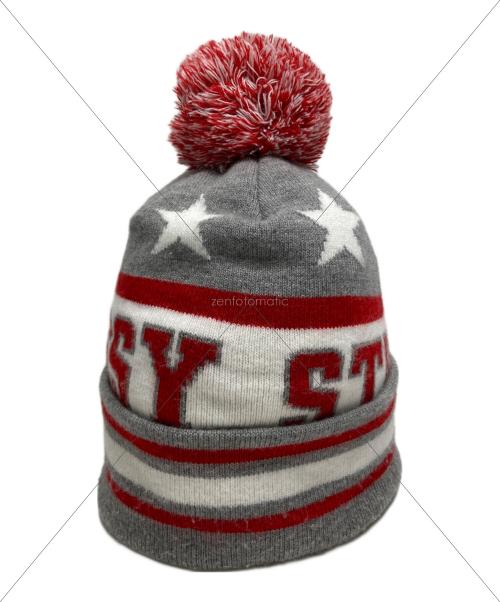 stussy（ステューシー）stussy (ステューシー) ニット帽 グレーの古着・服飾アイテム