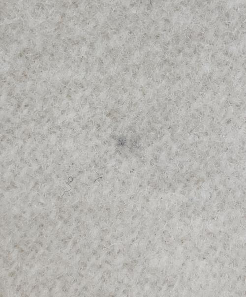 TONAL（トーナル）TONAL (トーナル) ウールモッサチェスターコート アイボリー サイズ:38 未使用品の古着・服飾アイテム