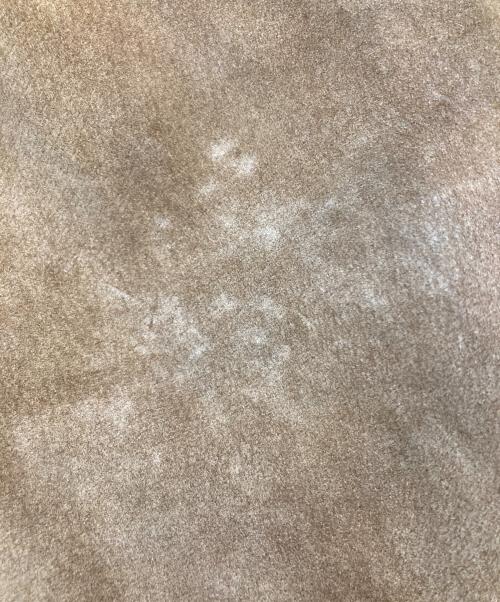 SEAHOP（シーホップ）SEAHOP (シーホップ) ファーフーデッドレザージャケット ブラウン サイズ:Lの古着・服飾アイテム