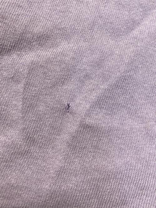 stussy（ステューシー）stussy (ステューシー) アーチロゴTシャツ パープル サイズ:サイズ表記なしの古着・服飾アイテム