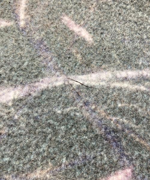 X-LARGE（エクストララージ）X-LARGE (エクストララージ) プリントフリースジャケット グリーン サイズ:Lの古着・服飾アイテム