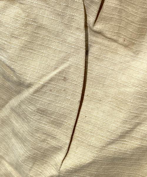 stussy（ステューシー）stussy (ステューシー) カーゴパンツ ベージュ サイズ:30の古着・服飾アイテム