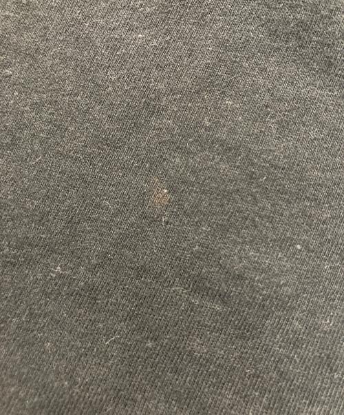 SUPREME（シュプリーム）Supreme (シュプリーム) Satchdananda Tee ブラック サイズ:Ⅿの古着・服飾アイテム