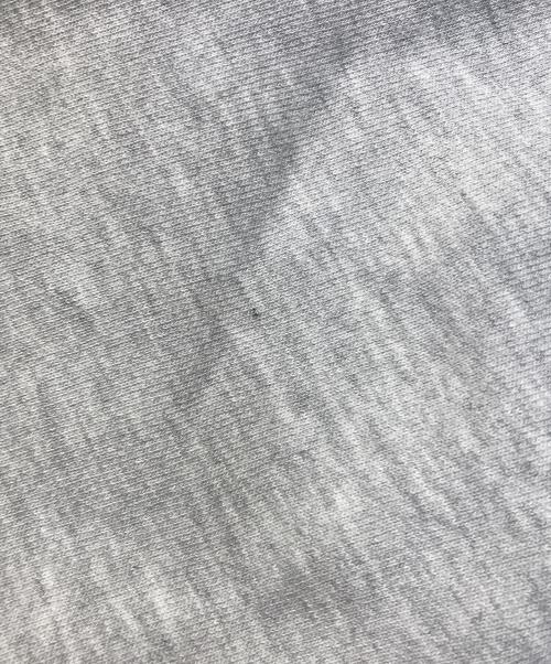 Champion Premium Reverse Weave（チャンピオン プレミアム リバースウィーブ）Champion PREMIUM REVERSE WEAVE (チャンピオン プレミアム リバースウィーブ) スウェット グレー サイズ:Ⅿの古着・服飾アイテム