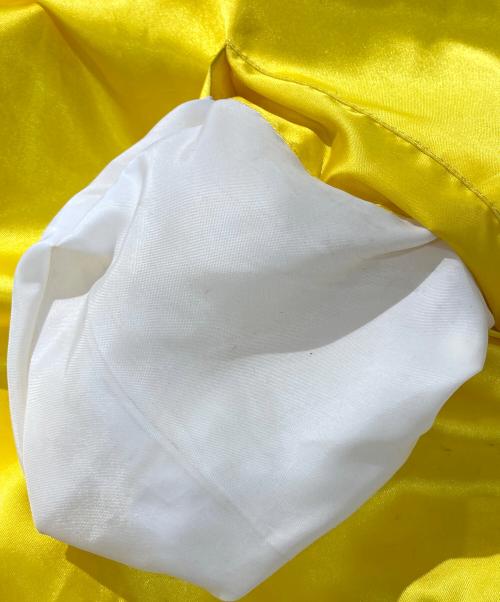 Champion（チャンピオン）Champion (チャンピオン) SUPREME (シュプリーム) Satin Jacket イエロー サイズ:XLの古着・服飾アイテム