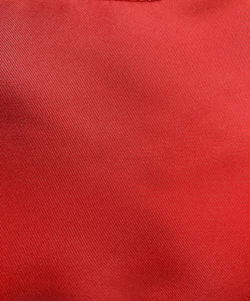 LONGCHAMP（ロンシャン）LONGCHAMP (ロンシャン) ル・プリアージュ ネオMル・プリアージュ ネオM レッドの古着・服飾アイテム