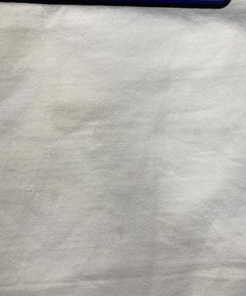 THE NORTH FACE（ザ ノース フェイス）THE NORTH FACE (ザ ノース フェイス) S TRANS Antarctica TEE ホワイト サイズ:Mの古着・服飾アイテム