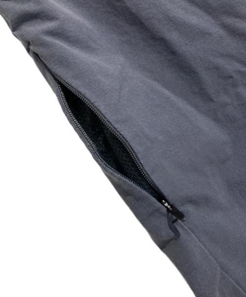 ARC'TERYX（アークテリクス）ARC'TERYX (アークテリクス) ATLIN CHINO PANTS グレー サイズ:W29の古着・服飾アイテム
