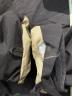 中古・古着 stussy (ステューシー) ナイロンフーデッドジャケット ブラック サイズ:L：15000円