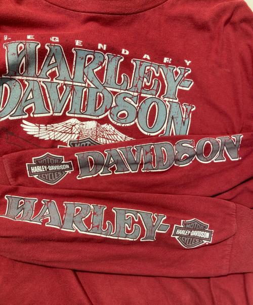 HARLEY-DAVIDSON（ハーレーダビッドソン）HARLEY-DAVIDSON (ハーレーダビッドソン) プリントカットソー レッド サイズ:2XLの古着・服飾アイテム