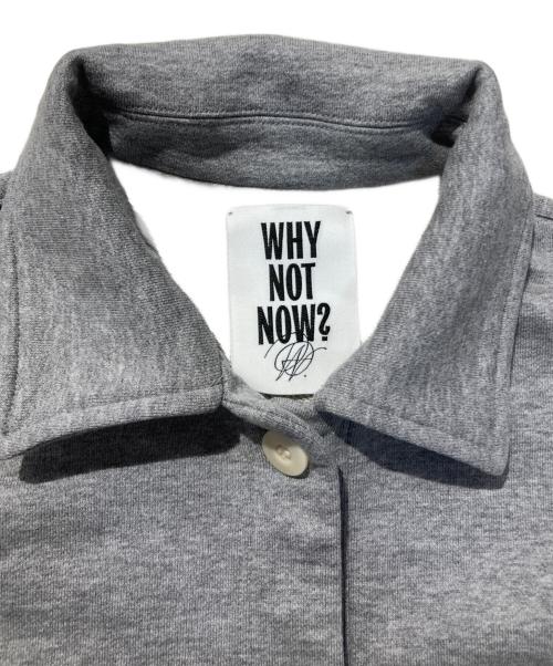 CHAOS（カオス）Chaos (カオス) WHY NOT NOWコアスキッパープルオーバー グレー サイズ:FREEの古着・服飾アイテム