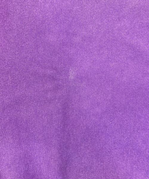 Champion（チャンピオン）Champion (チャンピオン) リバースウィーブスウェット パープル サイズ:Mの古着・服飾アイテム