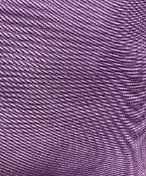 LONGCHAMP（ロンシャン）LONGCHAMP (ロンシャン) 2WAYナイロンバッグ パープルの古着・服飾アイテム
