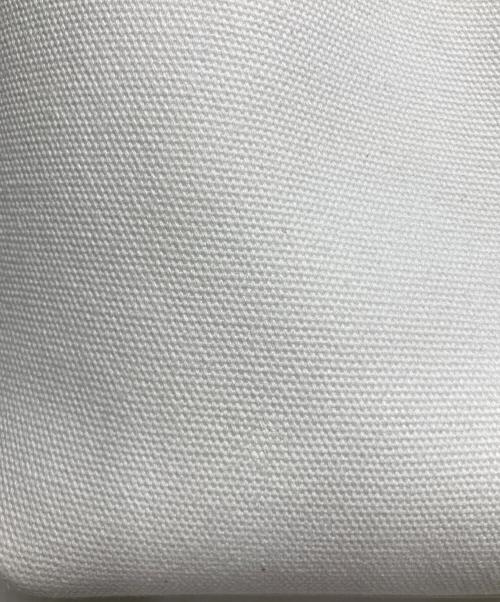 VASIC（ヴァジック）VASIC (ヴァジック) BOND MINI CANVAS ホワイトの古着・服飾アイテム