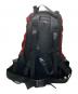 ARC'TERYX (アークテリクス) Sebring Backpack レッド：15000円