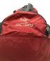 中古・古着 ARC'TERYX (アークテリクス) Sebring Backpack レッド：15000円