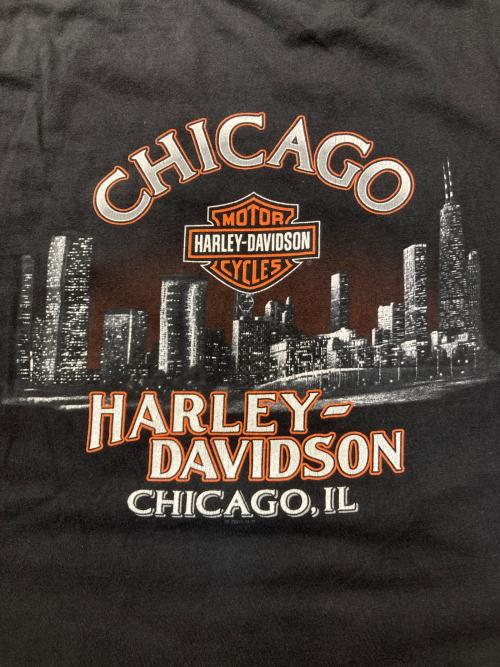 HARLEY-DAVIDSON（ハーレーダビッドソン）HARLEY-DAVIDSON (ハーレーダビッドソン) Tシャツ ブラック サイズ:2XLの古着・服飾アイテム