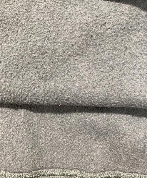 Champion Premium Reverse Weave（チャンピオン プレミアム リバースウィーブ）Champion Premium Reverse Weave (チャンピオン プレミアム リバースウィーブ) パーカー グリーン サイズ:XLの古着・服飾アイテム