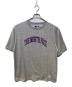 THE NORTHFACE PURPLELABEL（ザ・ノースフェイス パープルレーベル）の古着「H/S Graphic Tee」｜グレー