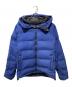 THE NORTH FACE（ザ ノース フェイス）の古着「Belayer Parka」｜ブルー