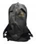 ARC'TERYX（アークテリクス）の古着「Arro 22」｜ブラック