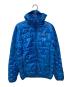 Patagonia（パタゴニア）の古着「Micro Puff Hoody」｜ブルー