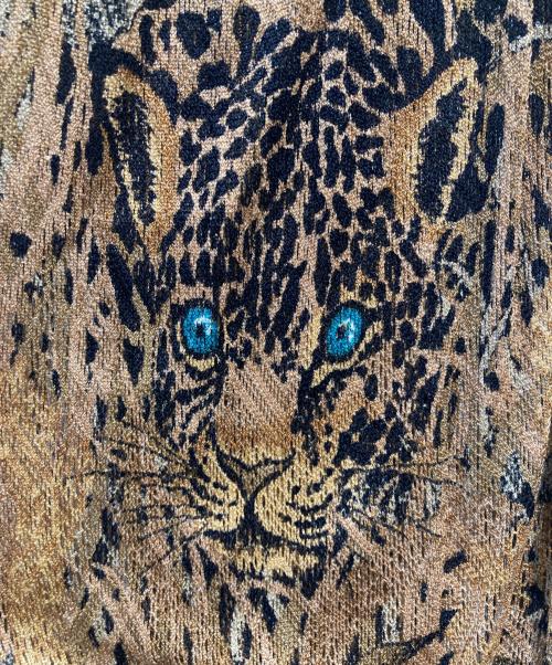 伊太利屋（イタリヤ）伊太利屋 (イタリヤ) タイガージャガードシアージャケット ブラウン サイズ:11の古着・服飾アイテム