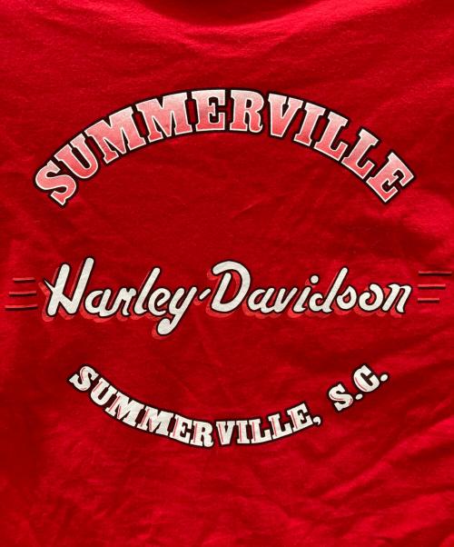 HARLEY-DAVIDSON（ハーレーダビッドソン）HARLEY-DAVIDSON (ハーレーダビッドソン) LOONEY TUNES (ルーニーチューンズ) コラボプリントTシャツ レッド サイズ:LARGEの古着・服飾アイテム