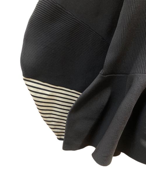 HeRIN.CYE（ヘリンドットサイ）HeRIN.CYE (ヘリンドットサイ) Color block flared tops ブラック サイズ:FREEの古着・服飾アイテム