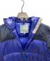 中古・古着 THE NORTH FACE (ザ ノース フェイス) ACONCAGUA HOODIE アコンカグア フーディ ブルー サイズ:L：10000円