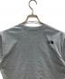中古・古着 THE NORTH FACE (ザ ノース フェイス) Tシャツ グレー サイズ:M：4000円