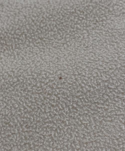 THE NORTH FACE（ザ ノース フェイス）THE NORTH FACE (ザ ノース フェイス) マウンテンバーサマイクロジャケット ベージュ サイズ:Lの古着・服飾アイテム