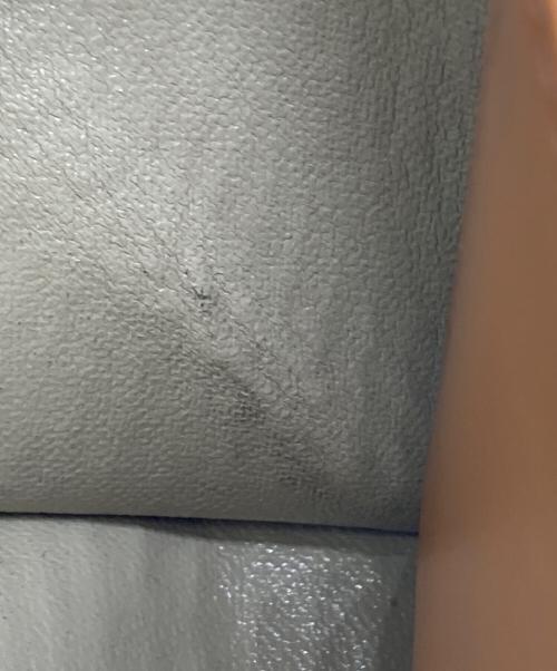 HIROKO HAYASHI（ヒロコ ハヤシ）HIROKO HAYASHI (ヒロコ ハヤシ) 長財布 ベージュの古着・服飾アイテム