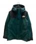 THE NORTH FACE（ザ ノース フェイス）の古着「Mountain Jacket」｜グリーン